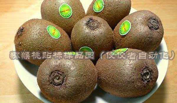 �J����ˮ�������N�ˈD