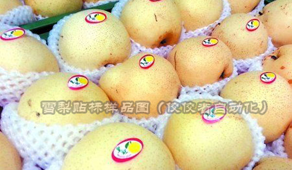 ѩ��ˮ�������N��